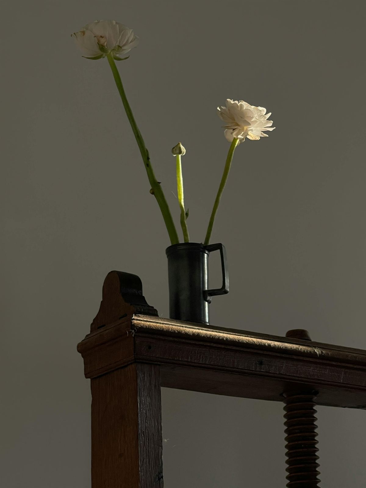 Single flower in a vase